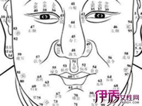 鼻子上的痣|面相：鼻子有痣，是代表破财？还是旺财？